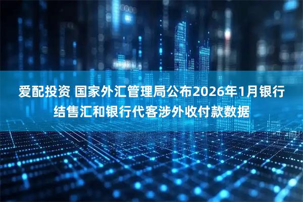 爱配投资 国家外汇管理局公布2026年1月银行结售汇和银行代客涉外收付款数据